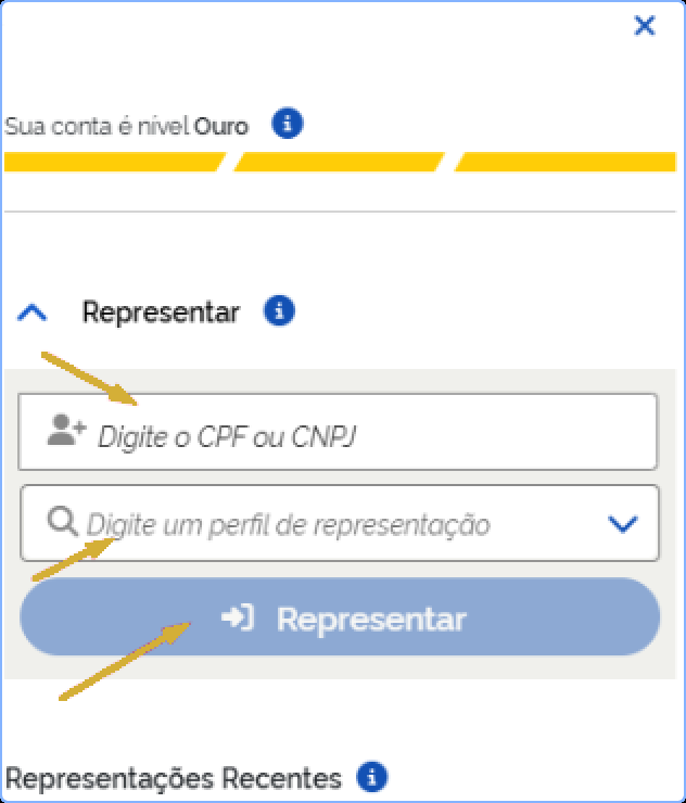 Painel Representar, com os campos de CPF ou CNPJ, perfil de representação e o botão Representar